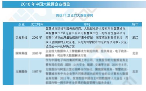 2018中國大數(shù)據(jù)企業(yè)報(bào)告出爐，天夏科技榮登IT企業(yè)大數(shù)據(jù)布局榜信息系統(tǒng)集成服務(wù)領(lǐng)域